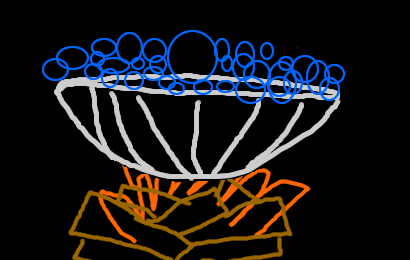 dish4