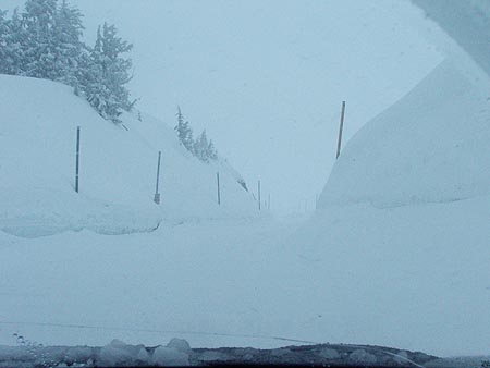timberline-01